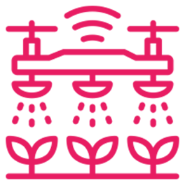Sân vườn